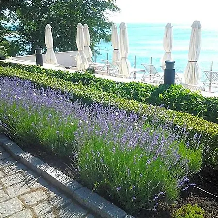 Hotel Hvd Boutique Oasis - Private & Free Parking Golden Sands