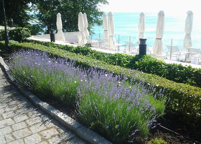 Hvd Boutique Oasis - Private & Free Parking Hotell 5*